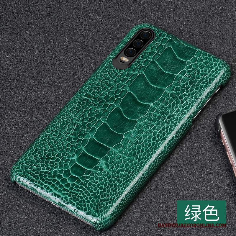 Custodia Huawei P30 Pelle Di Personalità High End, Cover Huawei P30 Creativo Coperchio Posteriore Blu