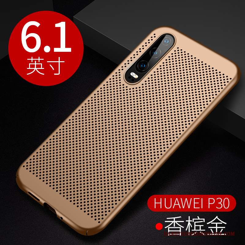 Custodia Huawei P30 Protezione Radiante High End, Cover Huawei P30 Telefono Sottile