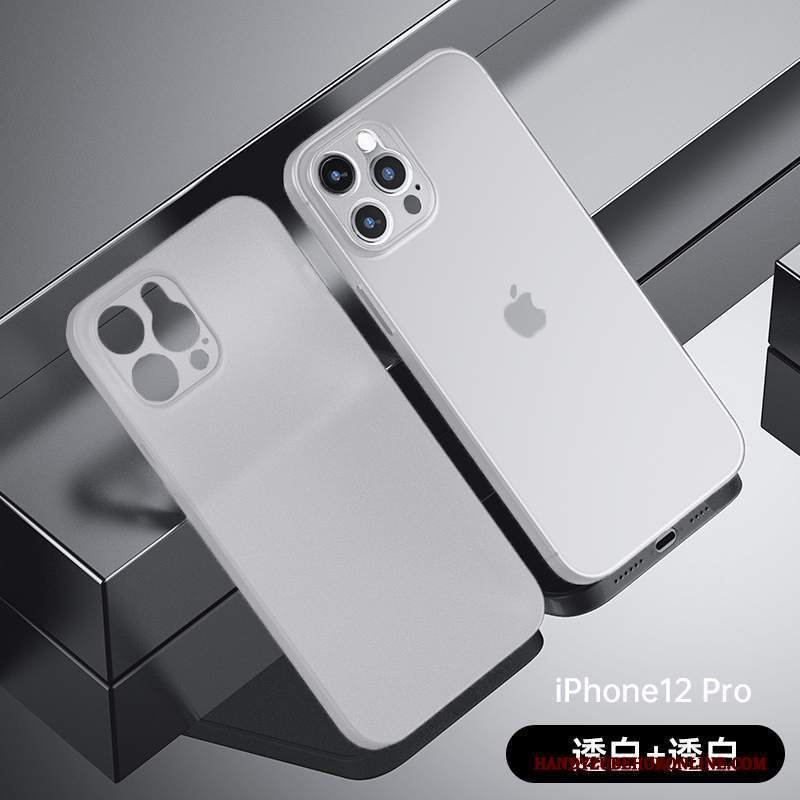 Custodia iPhone 12 Pro Protezione Bianco Trasparente, Cover iPhone 12 Pro Nuovo Anti-caduta