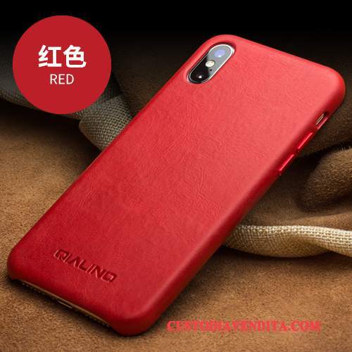 Custodia iPhone X Pelle Coperchio Posterioretelefono, Cover iPhone X Colore Semplici Affari