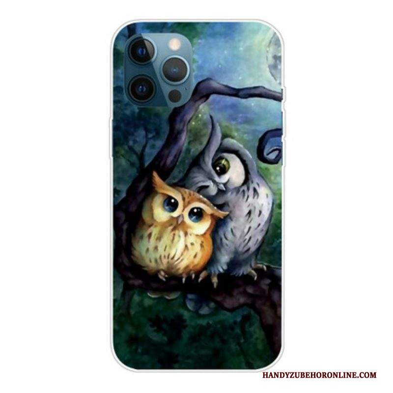 Cover iPhone 13 Pro Max Pittura Gufi