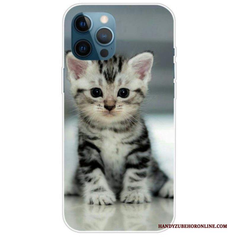 Cover iPhone 14 Pro Gattino