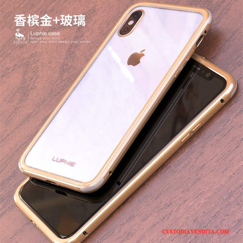 Custodia iPhone X Protezione Difficile Telaio, Cover iPhone X Vetro Temperato Trasparente