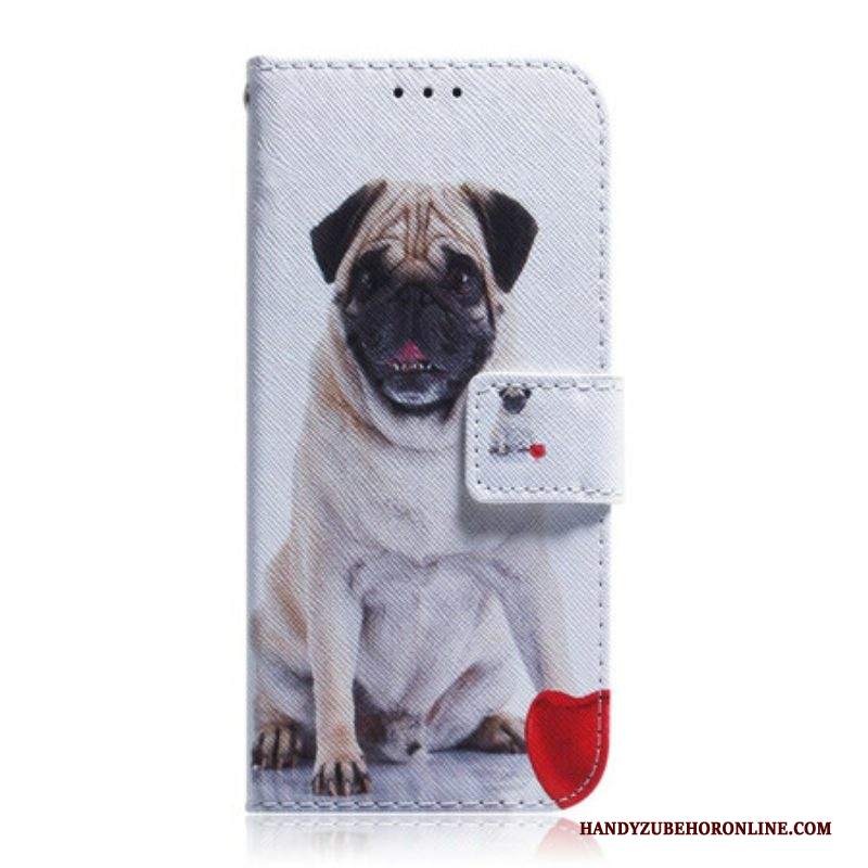 Custodia in pelle Samsung Galaxy S21 Plus 5G Cane Carlino