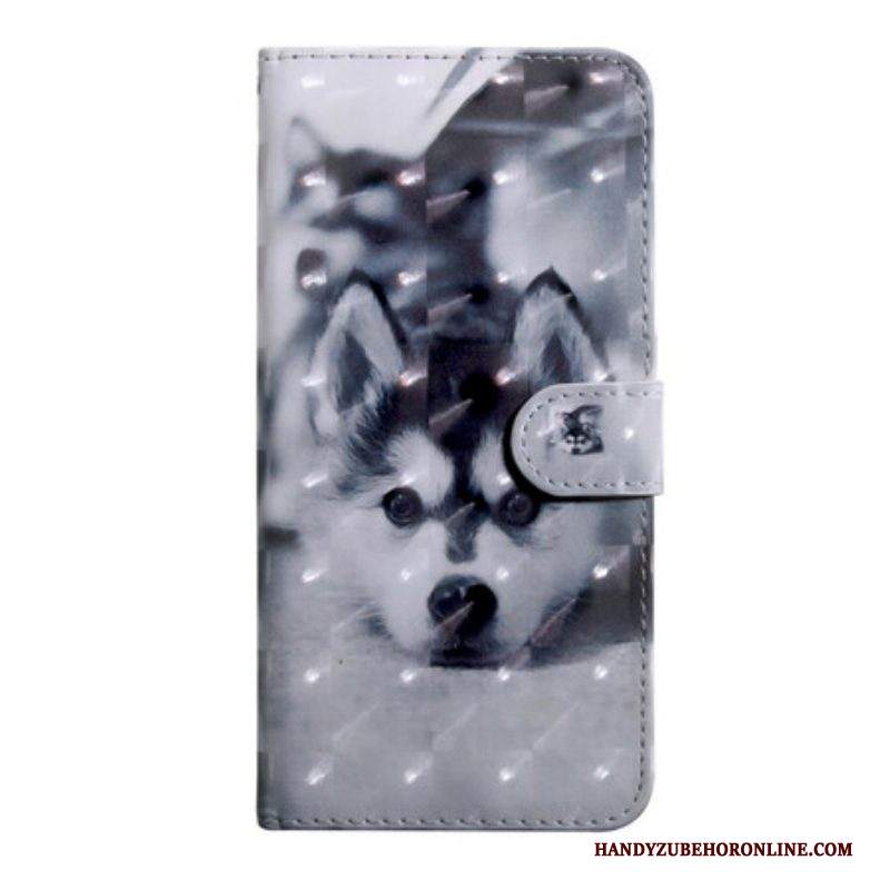 Folio Cover iPhone 13 Pro Punto Luce Gustave Il Cane